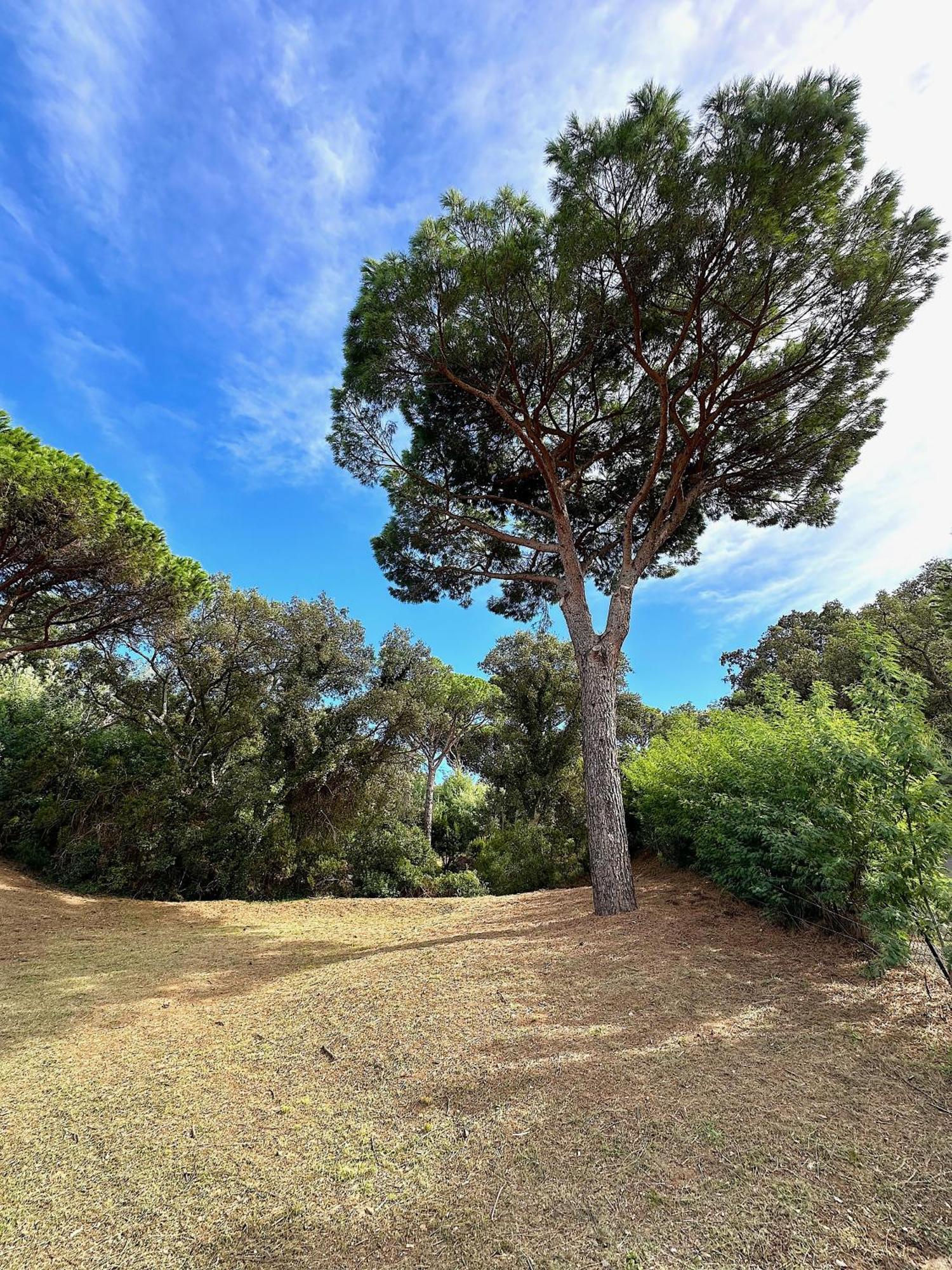 Villa Boca A Gigaro - Avec Vue Et Piscine Chauffee La Croix-Valmer Luaran gambar